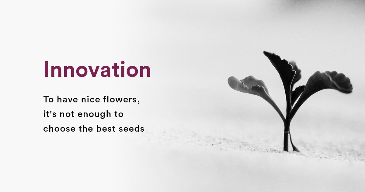 Innovation: To have nice flowers, it's not enough to choose the best seeds