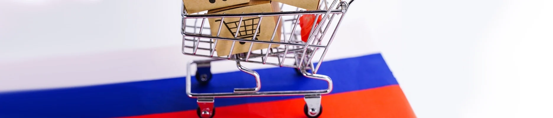 Russian Ecommerce Market Overview