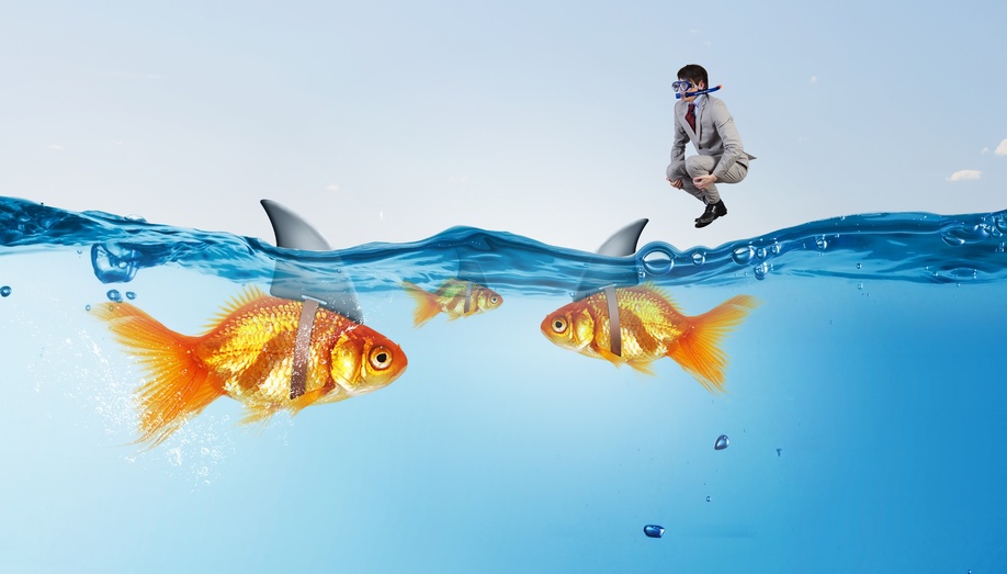 5 Ways to Reduce Online Credit Card False Decline Rates